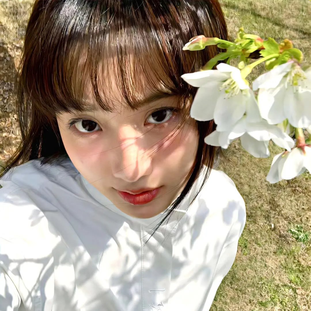 妙探机灵狗