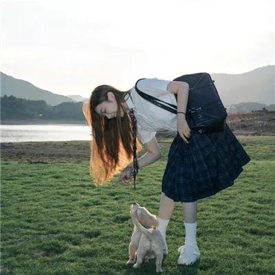 动物频道