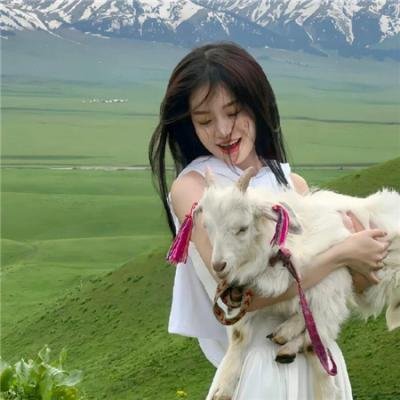 吉伯特拒蛋行动